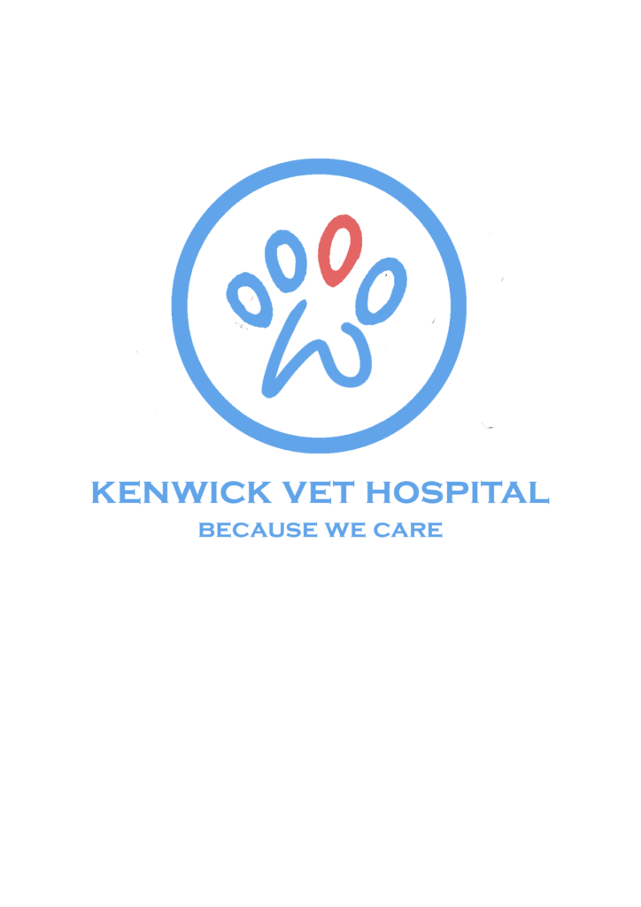 kenwick_vet